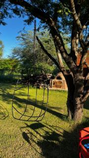 Finca Aires de campo -  - 9