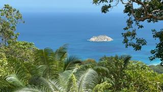 Tropical garden self catering - sea view - 0
