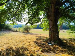 Bergerie Joy, bienvenue entre Ciel & Terre - 4