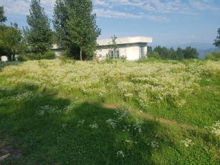 Saadis Cottage - 5