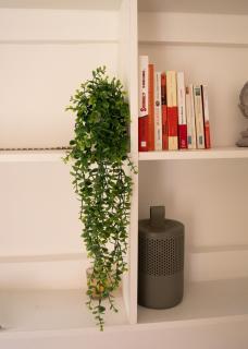 L'Algeco - Tiny house - - 4