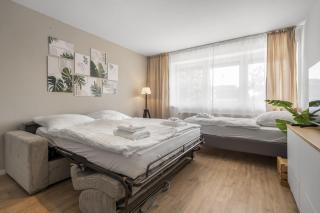 JAKSE Apartments - mit Küche & 6 Schlafplätze - 2