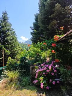 Mountain Nook Melissourgoi - 1