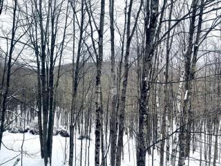 Mid-mod VT Dream Chalet near skiing and lake with Clubhouse hot tub, pools - 1