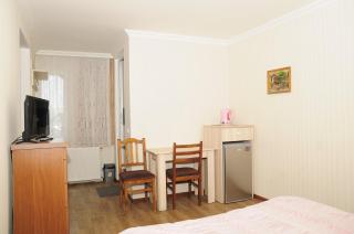 Grimis Villa - Borjomi - 5