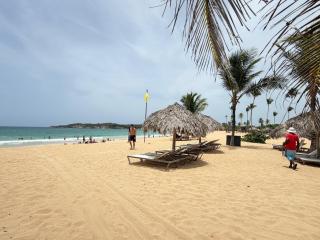 Coconut beach - 5