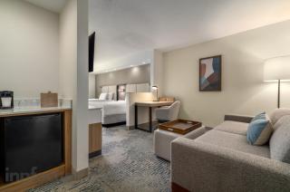 SpringHill Suites by Marriott - Tampa Brandon - 4