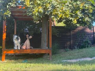 The Nook - Balatonkiliti - 4