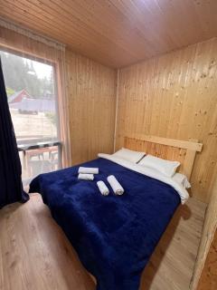 Alpine Lodge Bakhmaro - 3