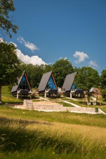 Homeland Nest - 3