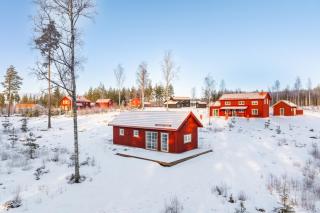 Bluebirch Cabin - 1