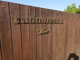 Togonidze's Wine Cellar - 9