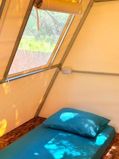 Borsh Olive Camping - Borsh - 1