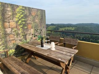 Penthouse Brockenblick 381 - 3