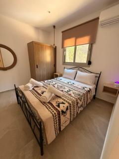 Rastony Boutique Island Living in Kefalos - 6