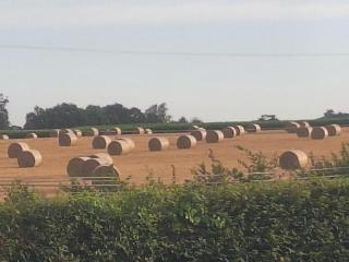 La Crinière d'Or - Entre mer et campagne - 1