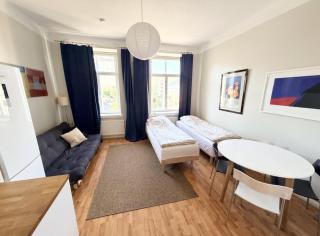 Charming well-kept studio - 8