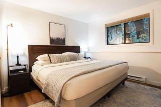Mt Baker Den, Sleeps 4 - 7