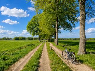 Hotel Hof van Gelre by Flow - 2
