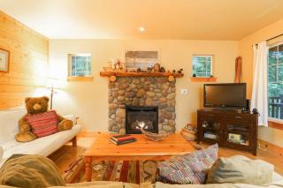 Twin Lakes Cabin - 3