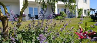 Apartamenty Poświata - dwupokojowe z widokiem na łąki - 7