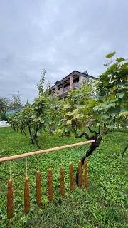 Villa Ikalto - 3