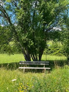 Refugium Mitterbach am Erlaufsee - 4