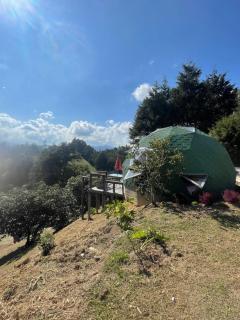 Vitta Glamping - Rionegro - 7