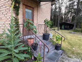 Swedish Forest Villa & Traditional Timber Cabin Near Lakes and Hiking Trails - 9