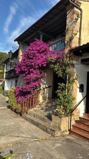 Casa Buganvilla, Comillas, Cantabria -  - 9