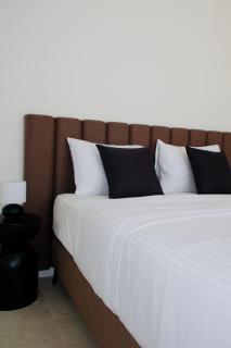 Olivetum Luxury Apartment with Pool - 1