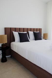 Olivetum Luxury Apartment with Pool - 3