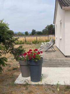 Les Bouquets d'Eugénie - 8