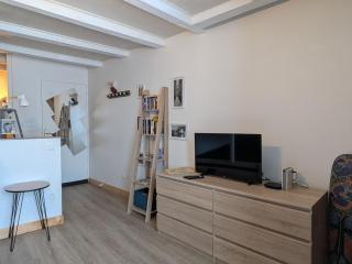 Appartement au cÅur du Puy-en-Velay - FR-1-582-75 - 7