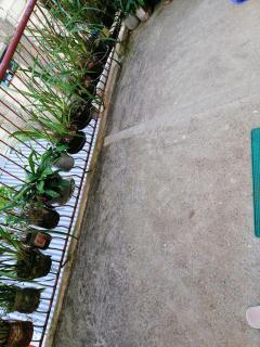 Inn Maugay Bed and Bath - 2