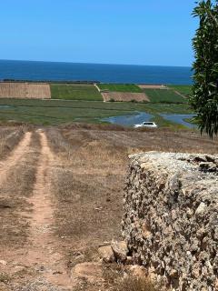 Villa Basmat - 9