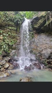 Restorations Tobago - Nelle Apt - 2