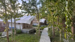 Apple Nubra Cottage - 7