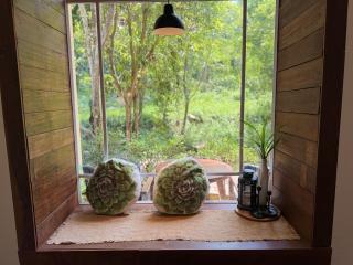 The ForRest Peace Forest แม่กำปอง - 4