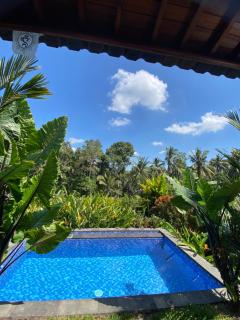 uma surya ubud - Ubud - 7
