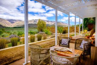 Vrisch Gewagt Boutique Self-Catering Olive Farm - Prince Albert - 9