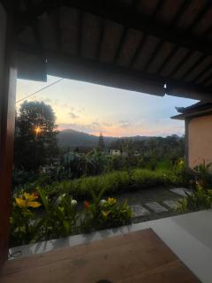 D'Janu Homestay - 9