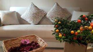 Veronetta lovely apartment - Verona - 0