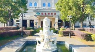 Vienna Hotel Shanghai Hongqiao Hub National Exhibition Center Huqingping Road - 3