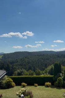 Panoramic Hill - Mountain View, Pool & Sauna - 9