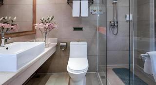Vienna Hotel Guangxi Fusui - 5