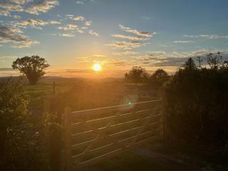 The Grove, Fownhope - 5