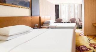 Vienna Hotel Guangzhou Baiyun Airport Huadu Avenue - 1