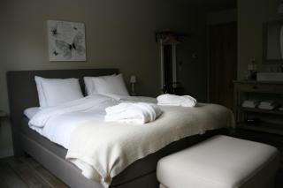 B&B Rosteline - Hamont - 1