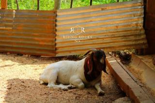 Relaxing Mountain Cottages - Hikes, Boma, Pool - 1